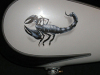 Scorpion
