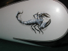 Scorpion