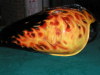 true fire